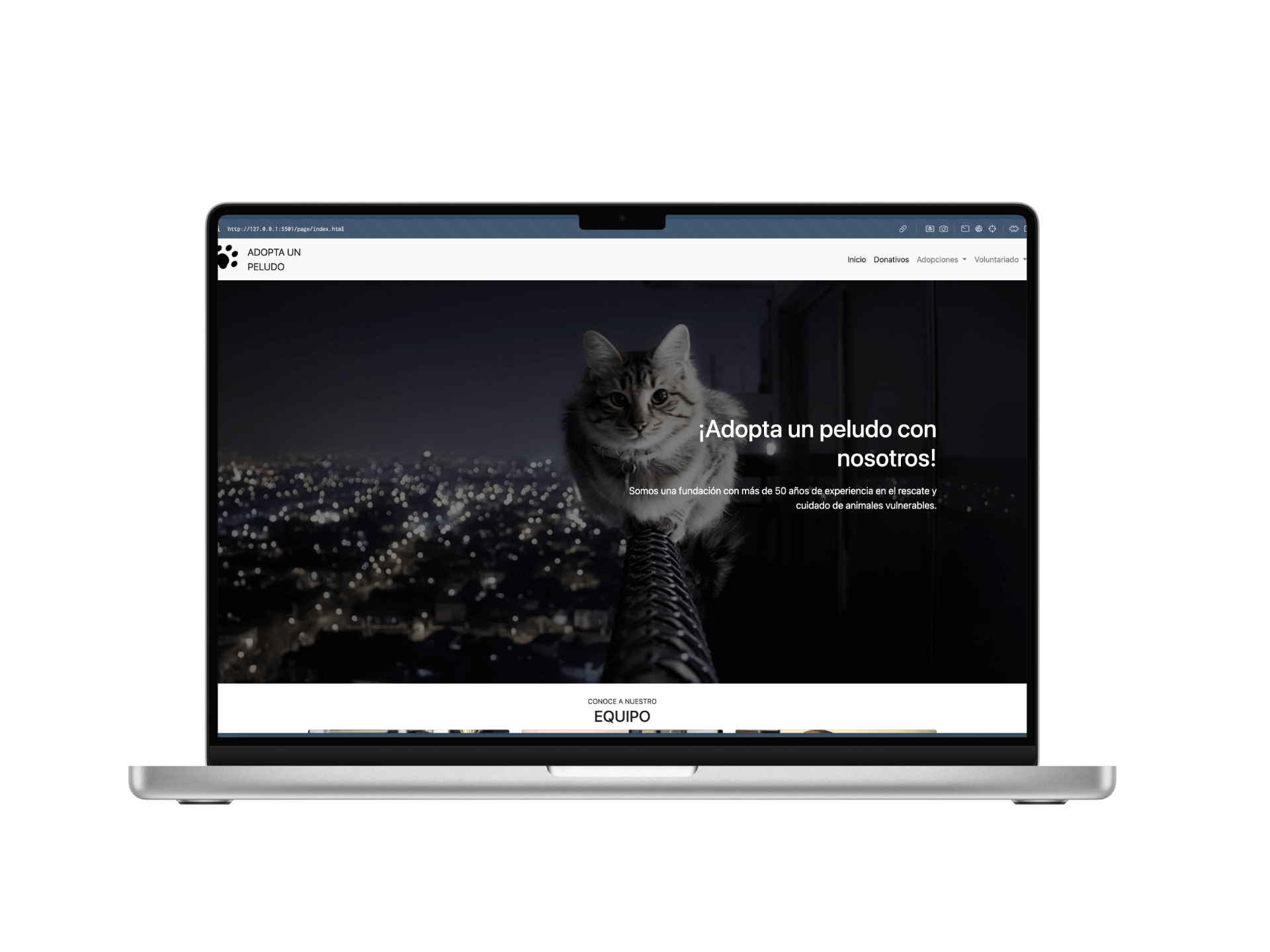 An  about the project