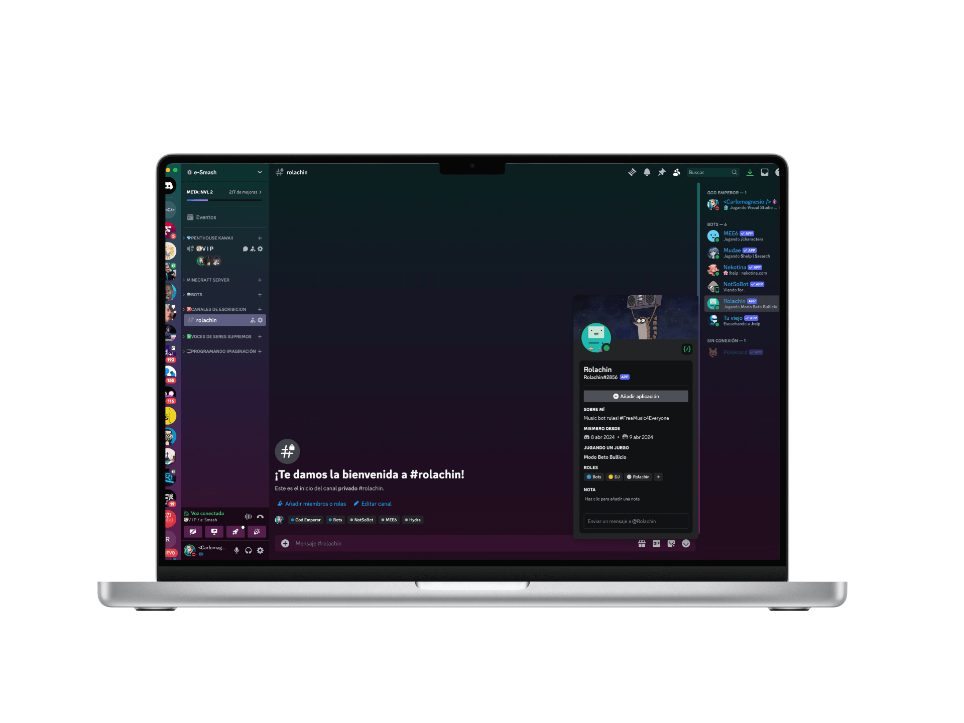 An  about the project